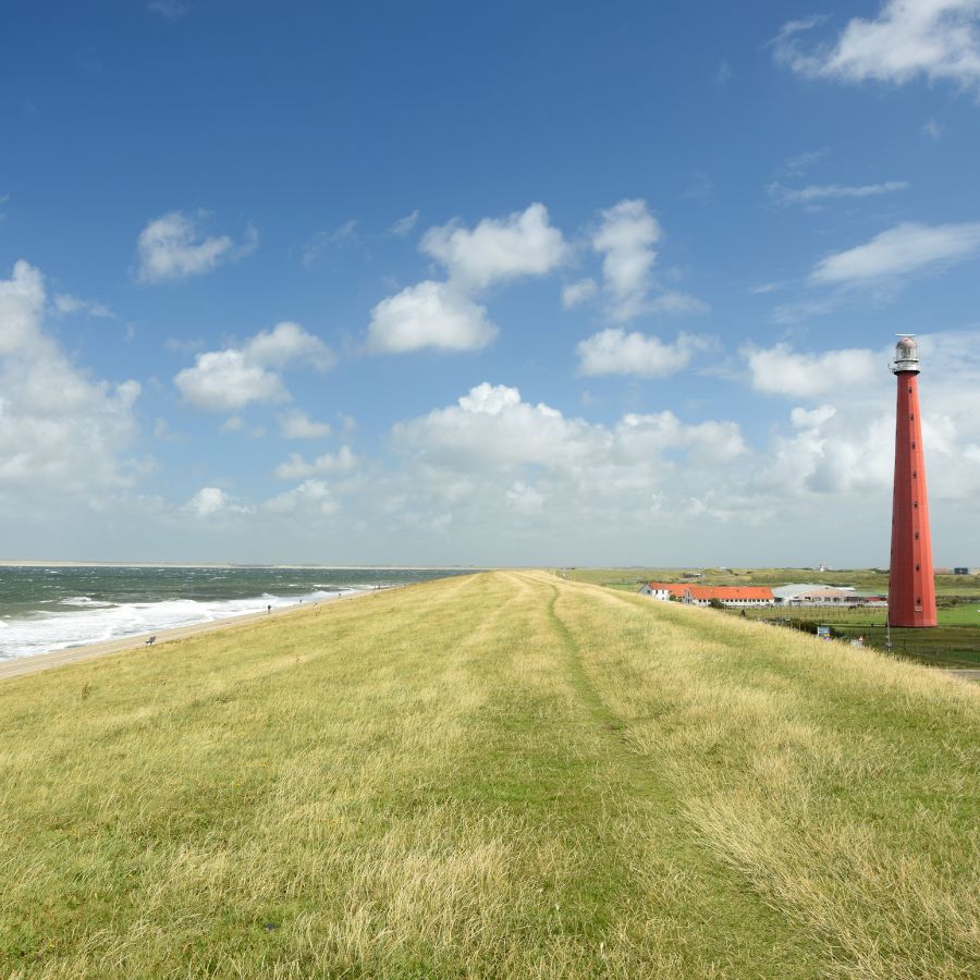 Advanced Dutch face-to-face morning course